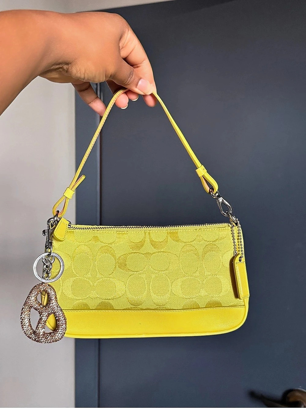 Coach Hampton Green Signature Demi Bag